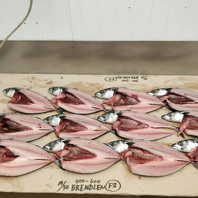 Fisk sløyd og lagt i rekker på brett